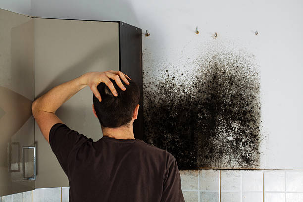 Trion, GA Mold Removal Company